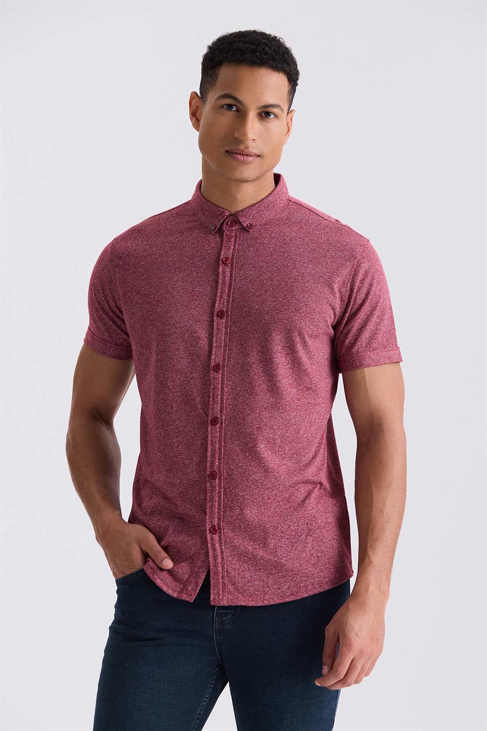 Maroon Slim Fit Shirt Collar T Shirt With Buttons