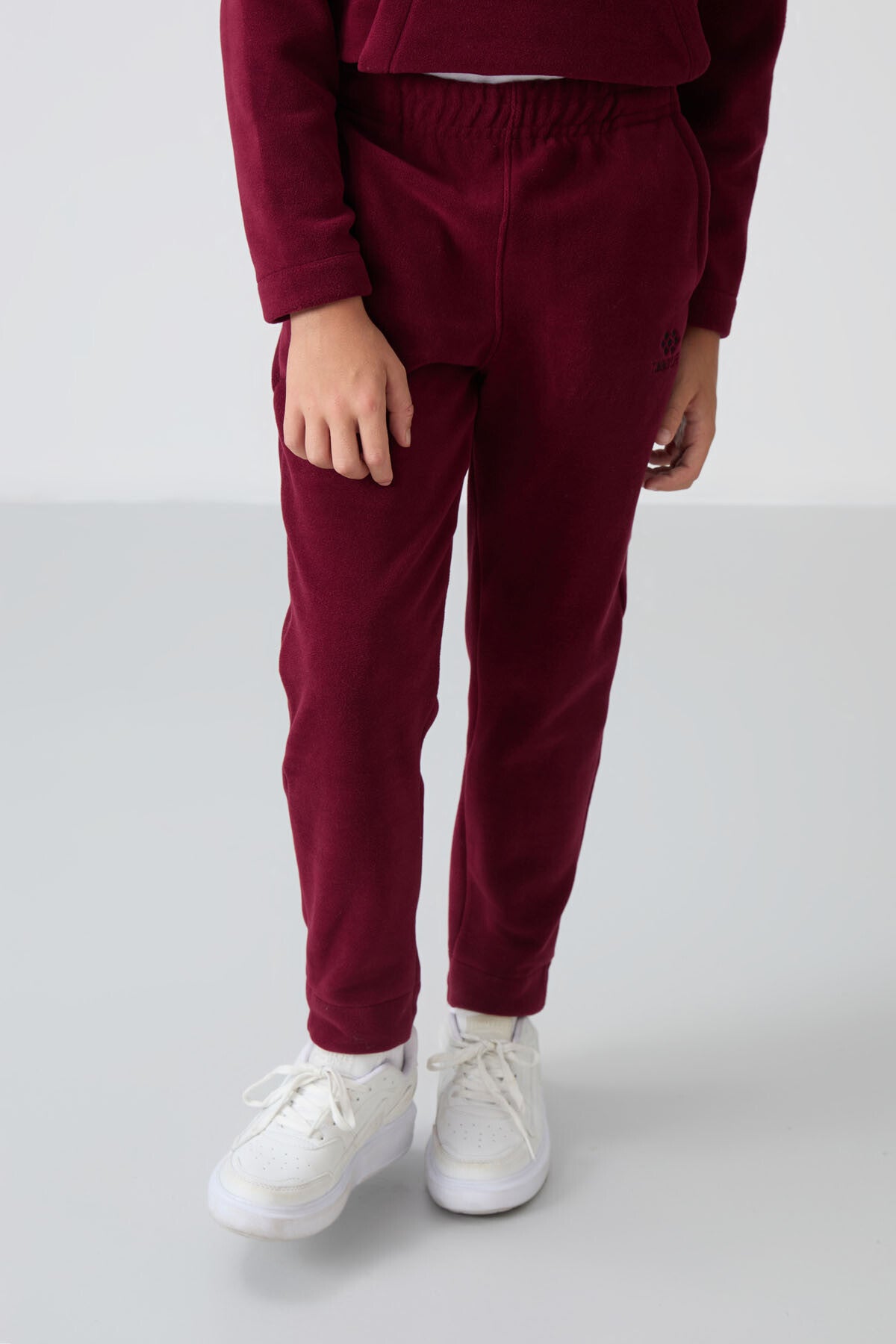 Purple Thick Soft Textured Standard Fit Embroidered Fleece Boys' Tracksuit Set - 11218