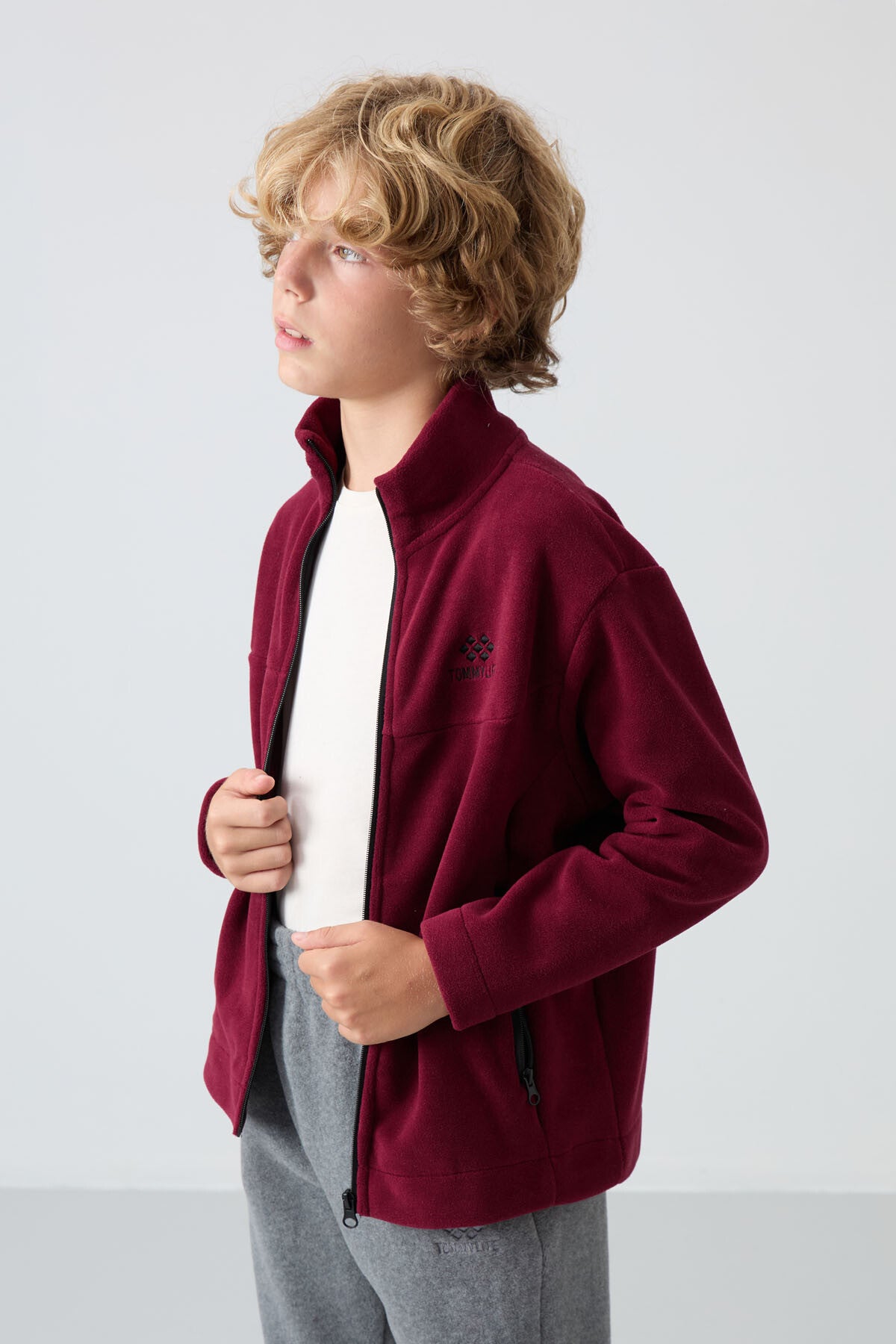 Purple Thick Soft Textured Standard Fit Embroidered Fleece Boys' Sweatshirt - 11223