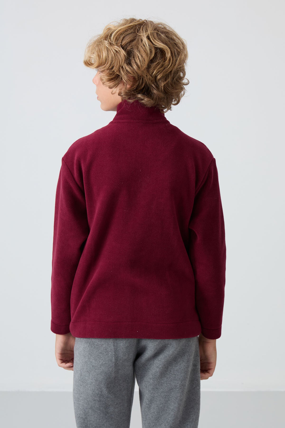 Purple Thick Soft Textured Standard Fit Embroidered Fleece Boys' Sweatshirt - 11223