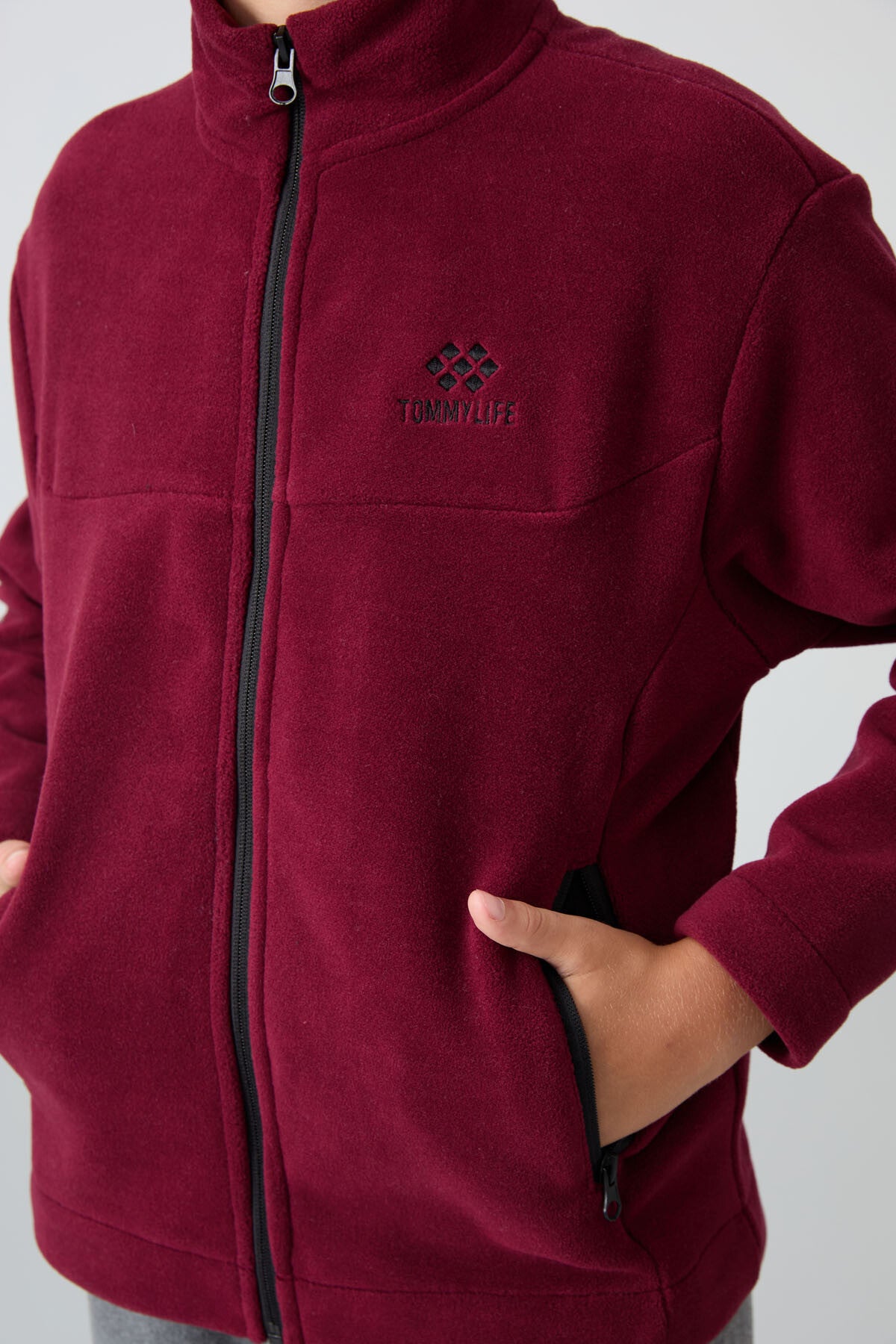 Purple Thick Soft Textured Standard Fit Embroidered Fleece Boys' Sweatshirt - 11223