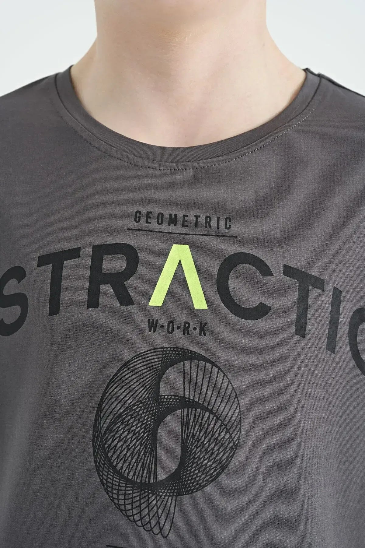 Dark Grey Print Detailed O Collar Standard Fit Boys T-Shirt - 11103