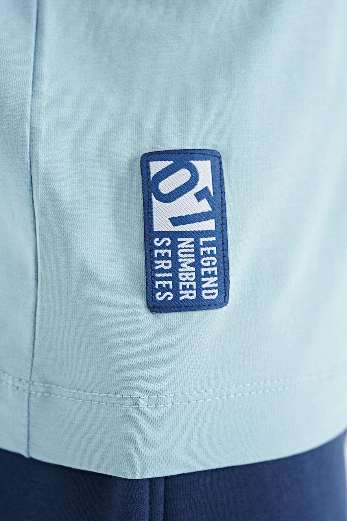 Light Blue Minimal Print Standard Fit O Collar Boys T-Shirt - 11132