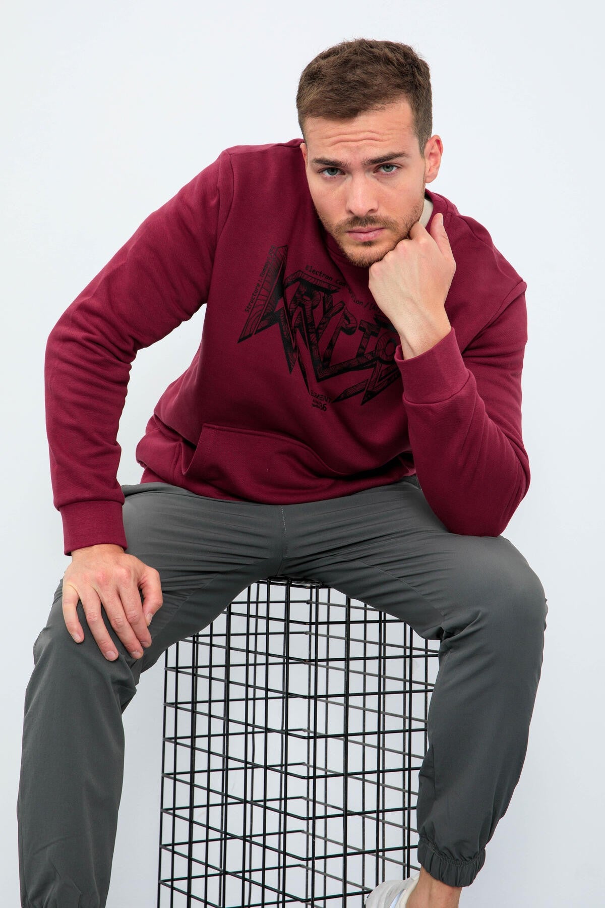 Purple Men's Printed Letter O Collar Comfort Fit Sweatshirt - 88037
