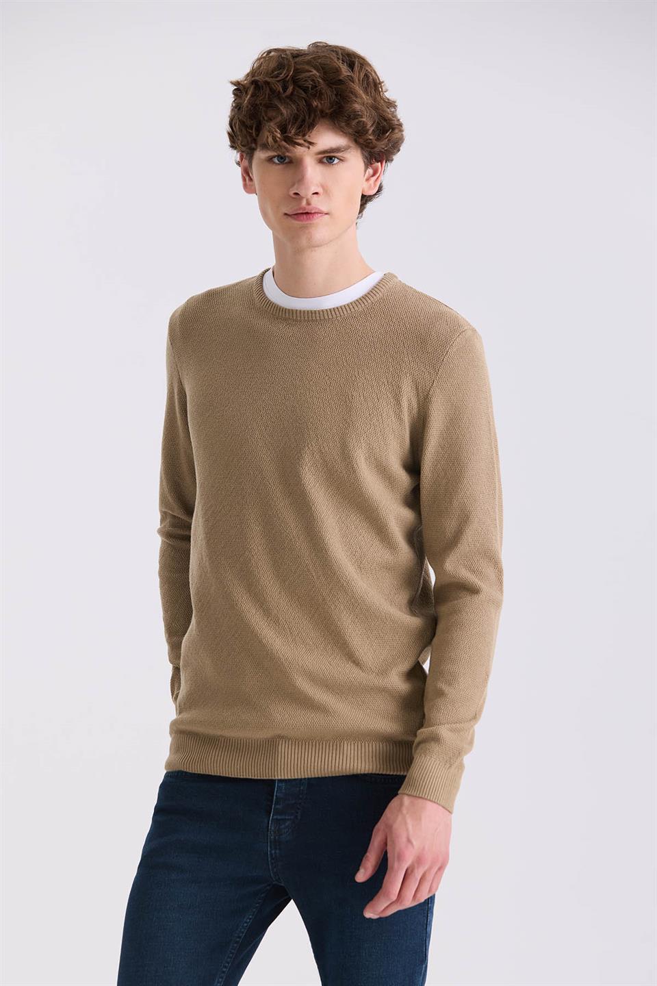 Beige Slim Fit Round Collar Knitted Sweater With Pattern