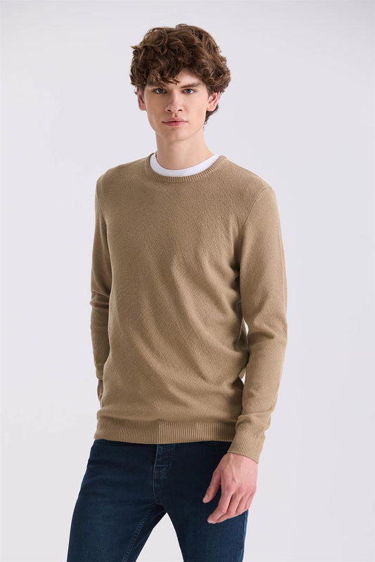 Beige Slim Fit Round Collar Knitted Sweater With Pattern