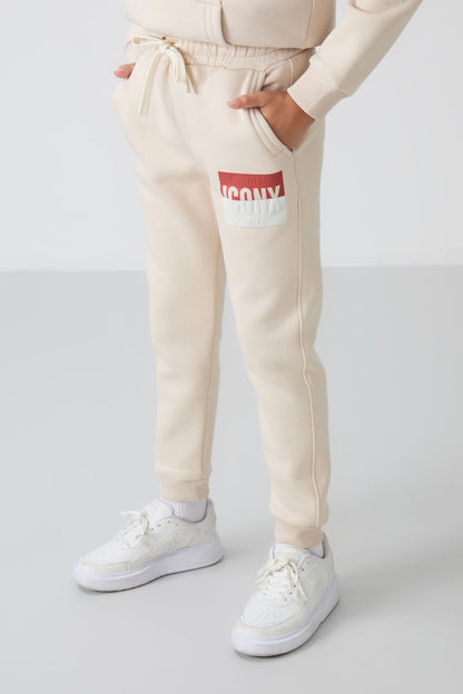 Cotton Thick Inner Fluffy Soft Textured Standard Fit Printed Boys' Tracksuit Set - 11246