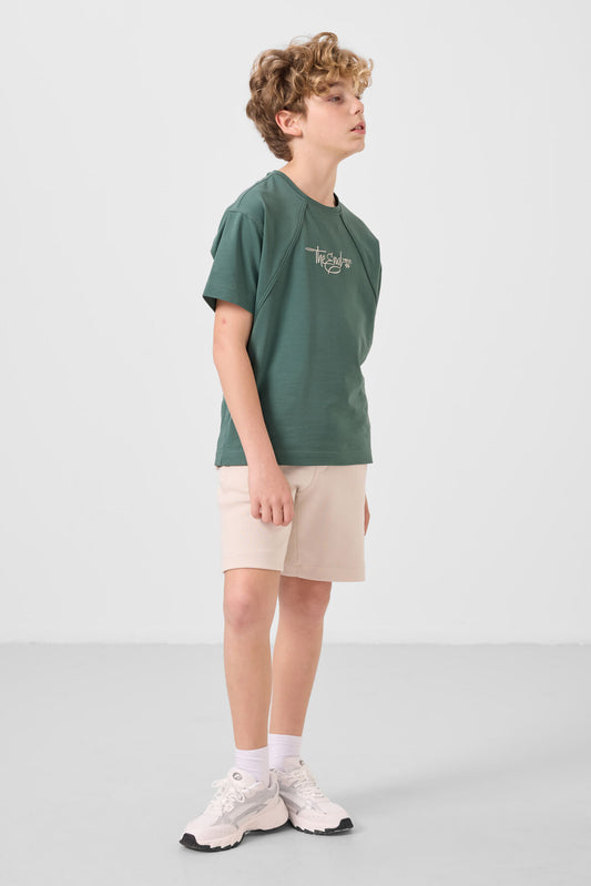 Beige cotton soft woven Standard Fit Basic shorts - 11293