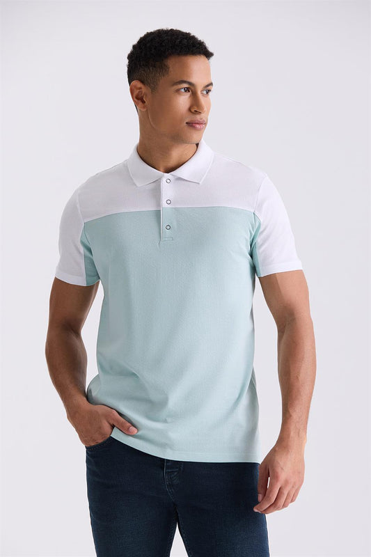 Mint Slim Fit Two Multi Color Polo Collar T Shirt