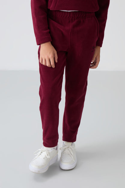 Purple Thick Soft Textured Standard Fit Embroidered Fleece Boys' Tracksuit Set - 11218