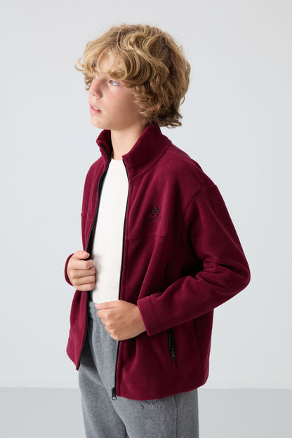 Purple Thick Soft Textured Standard Fit Embroidered Fleece Boys' Sweatshirt - 11223