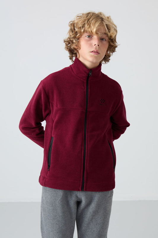 Purple Thick Soft Textured Standard Fit Embroidered Fleece Boys' Sweatshirt - 11223