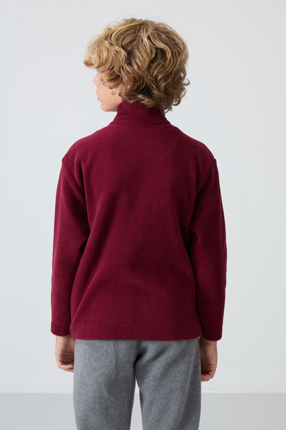 Purple Thick Soft Textured Standard Fit Embroidered Fleece Boys' Sweatshirt - 11223