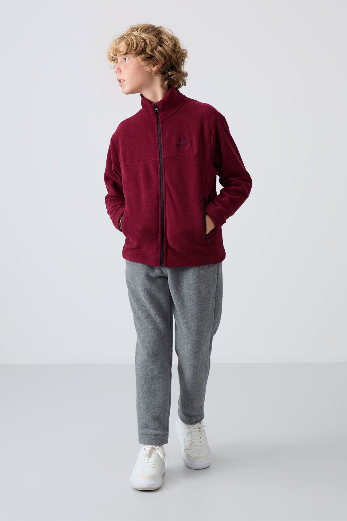 Purple Thick Soft Textured Standard Fit Embroidered Fleece Boys' Sweatshirt - 11223