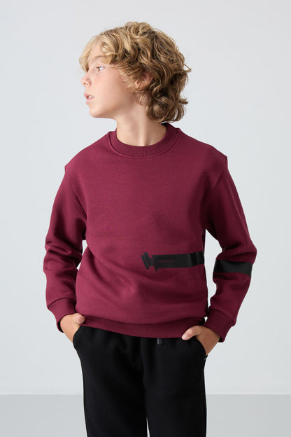 Purple Cotton Thick Fleece-Lined Soft Textured Standard Fit Printed Boys' Sweatshirt - 11238