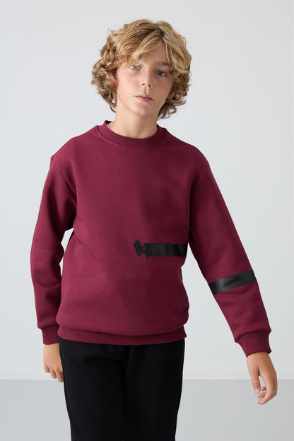 Purple Cotton Thick Fleece-Lined Soft Textured Standard Fit Printed Boys' Sweatshirt - 11238