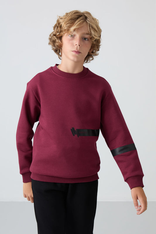 Purple Cotton Thick Fleece-Lined Soft Textured Standard Fit Printed Boys' Sweatshirt - 11238