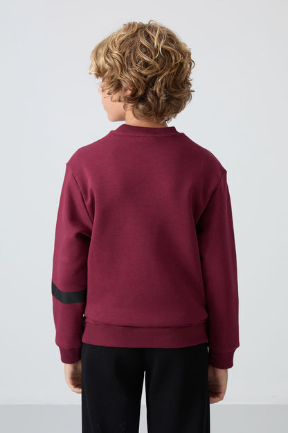 Purple Cotton Thick Fleece-Lined Soft Textured Standard Fit Printed Boys' Sweatshirt - 11238