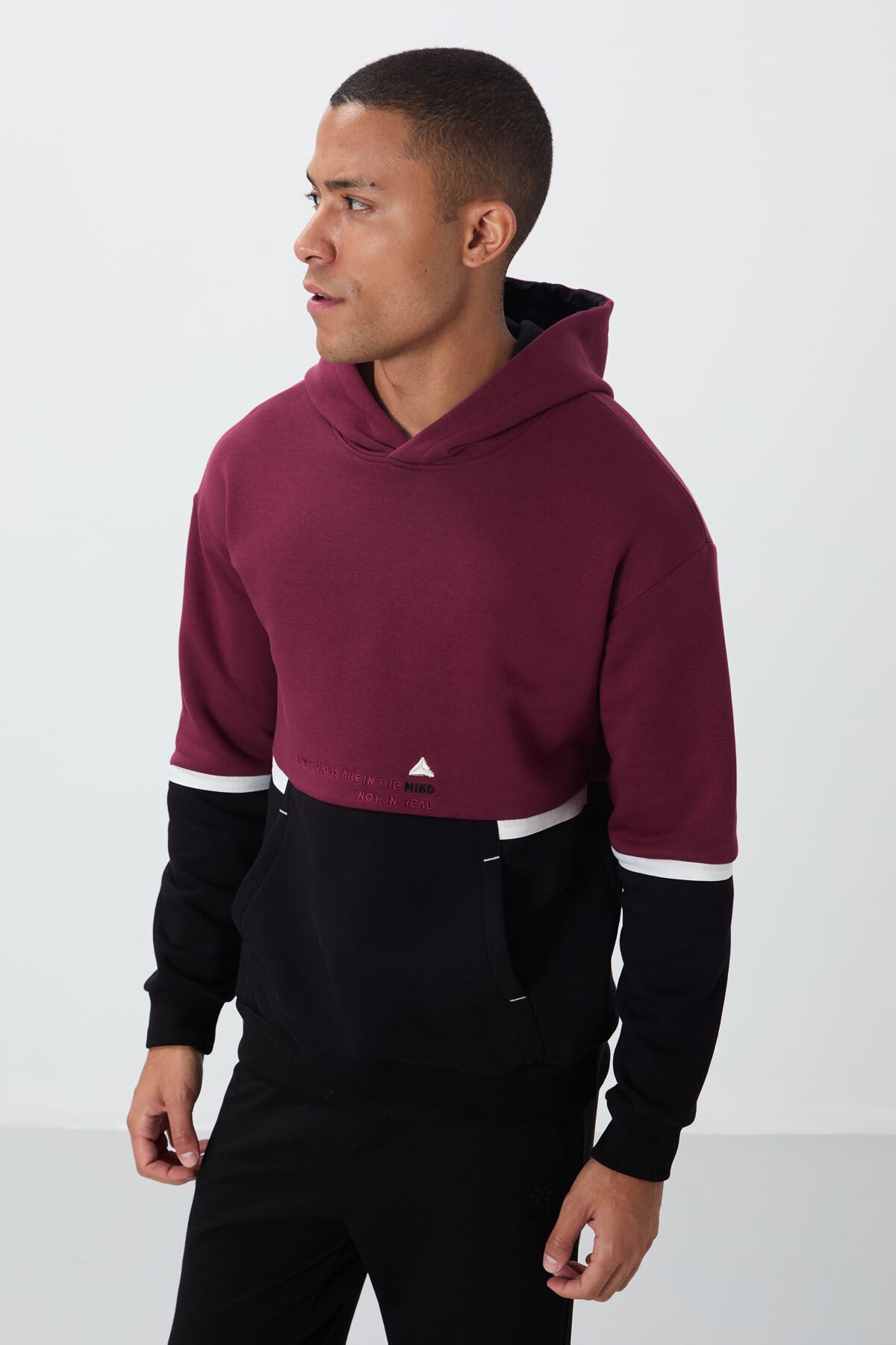 Purple Cotton Thick Fleece-Lined Soft Textured Comfort Fit Embroidered Men's Sweatshirt - 88417