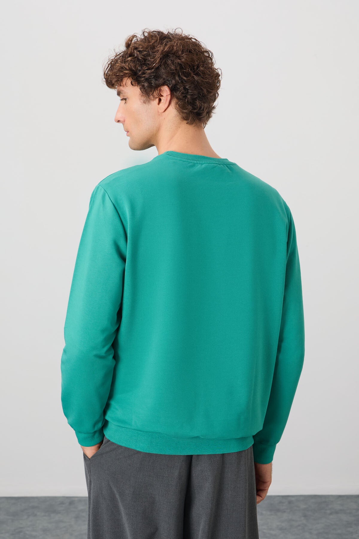 Cotton Soft Textured Standard Fit Basic Men's Sweatshirt - 88363