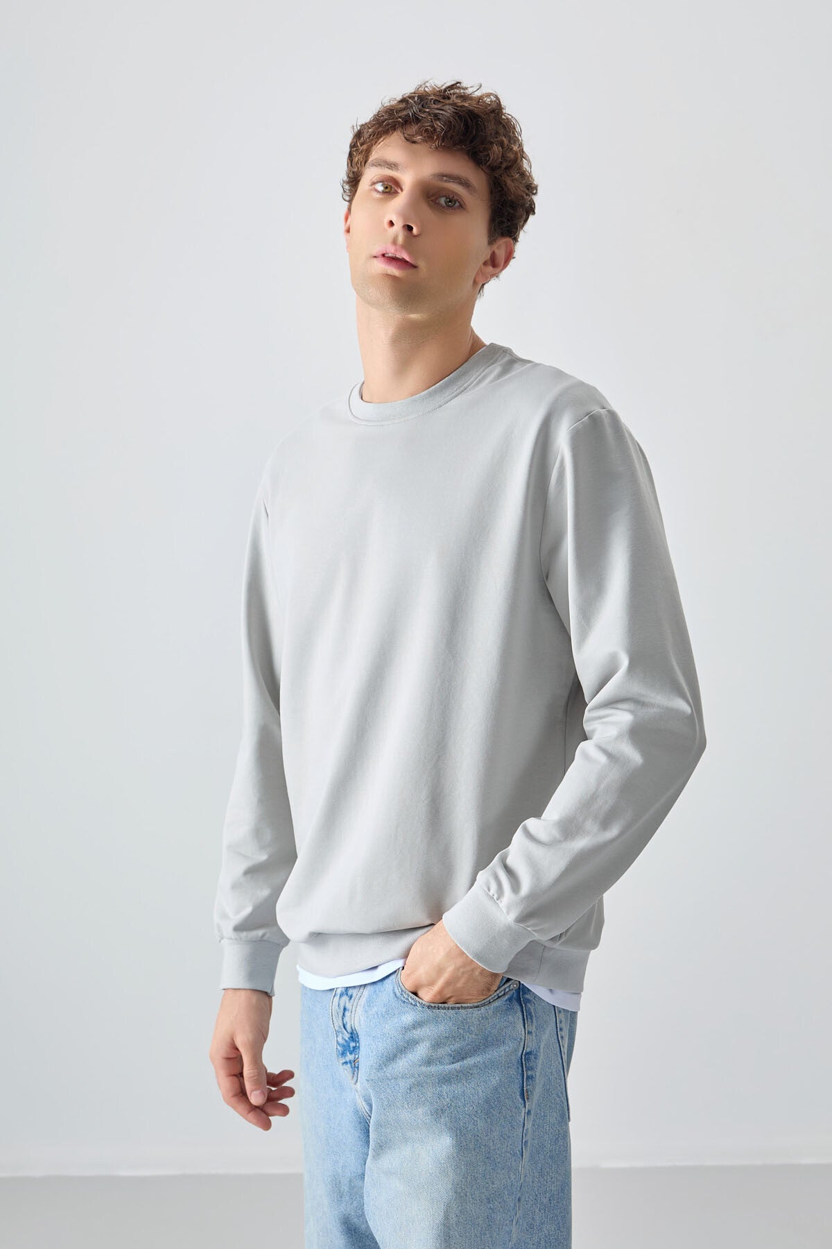 Standard Fit Basic Men's Stone Cotton Soft Woven Sweatshirt - 88363