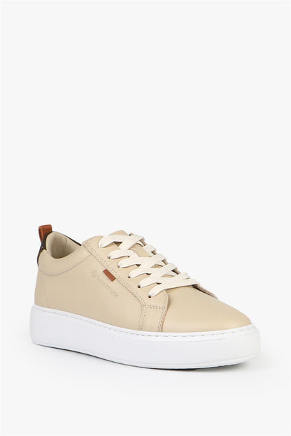 Taba Sneakers