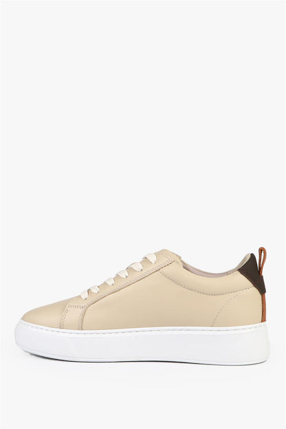 Taba Sneakers
