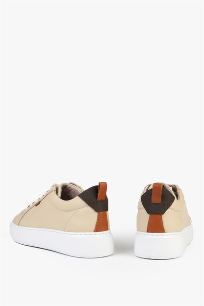 Taba Sneakers