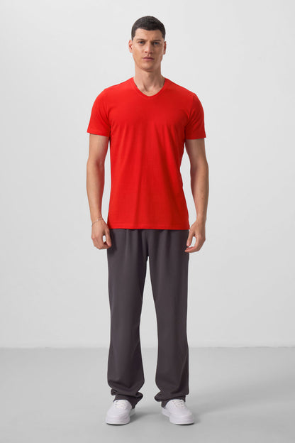 Fiesta Basic Short Sleeve Standard Fit V Neck Men's T-Shirt - 87912