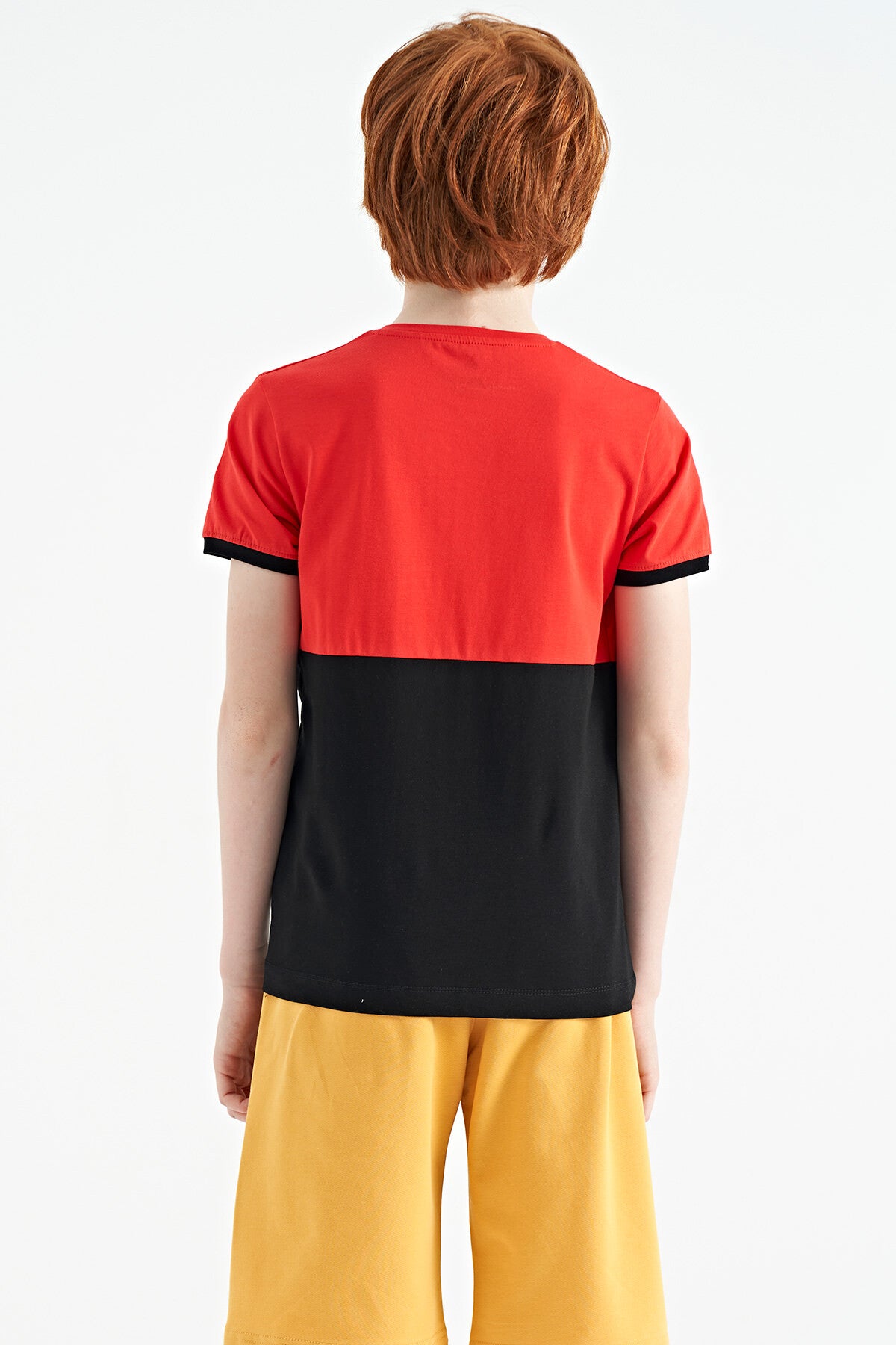 Fiesta Print Detailed Color Block Standard Fit O Collar Boys T-Shirt - 11107