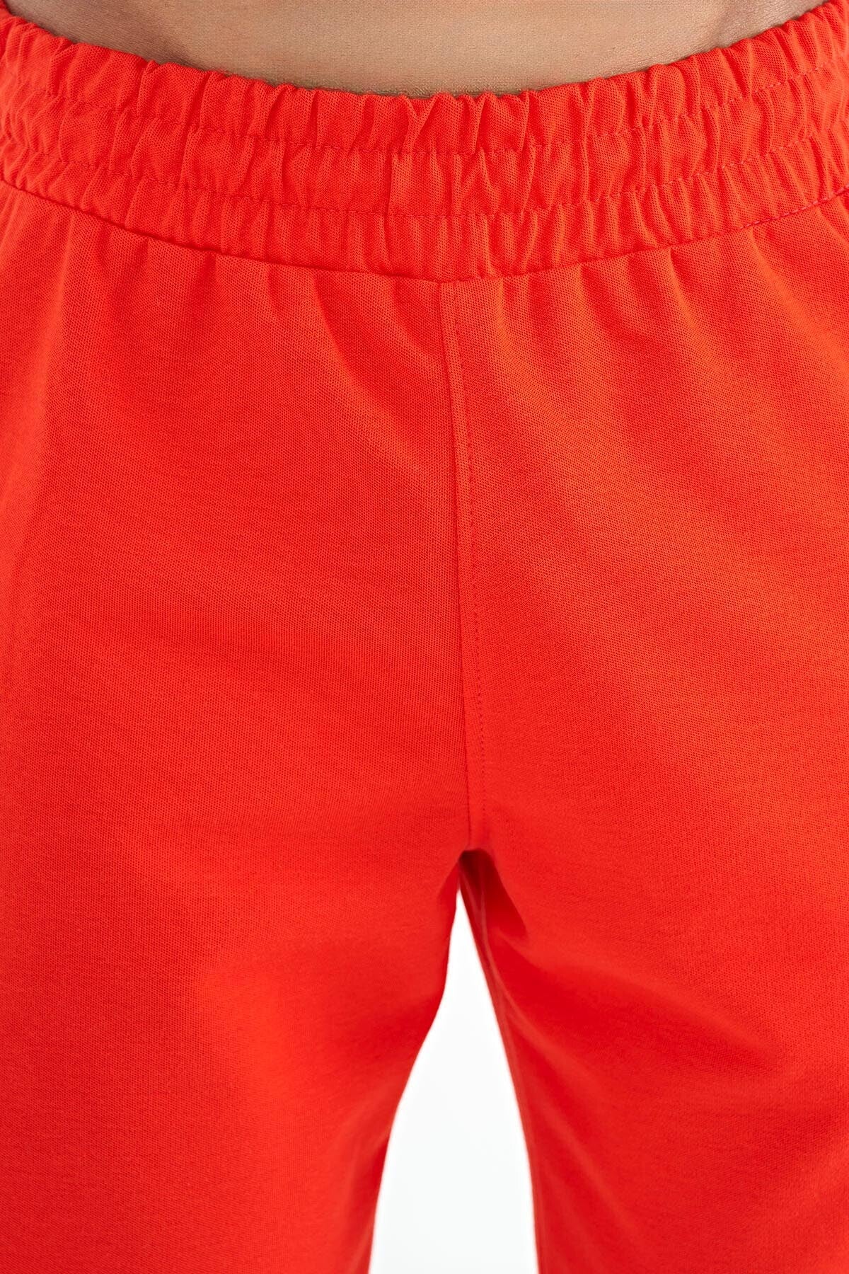 Arlo Fiesta Striped Men's Shorts - 81248