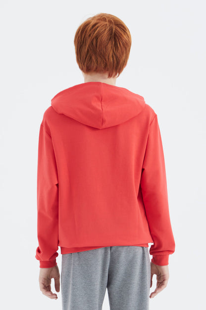 Fiesta Hooded Basic Boys' Sweatshirt - 11181
