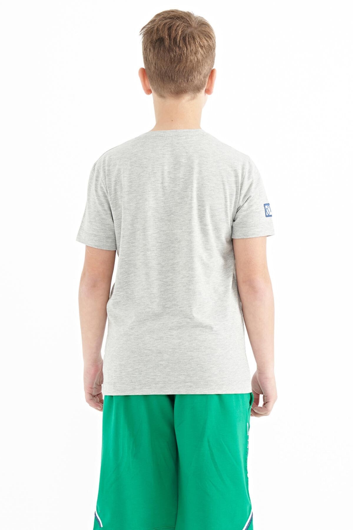 Gray Melange Print Detailed O Neck Standard Fit Boys' T-Shirt - 11104