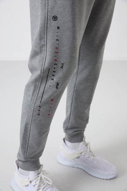 Rory Grey Jogger Men's Tracksuit Bottom - 84909