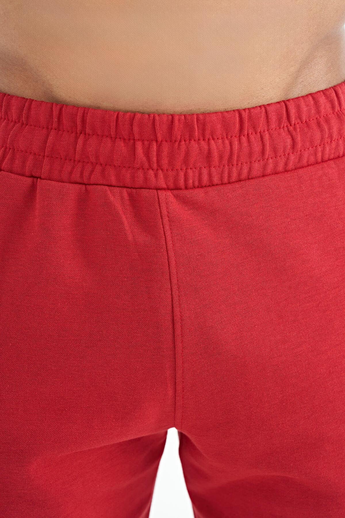 Alec Red Standard Fit Men's Shorts - 81243