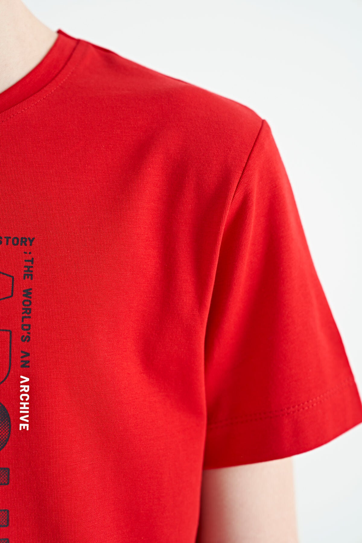 Red Pre-Print Detailed O Collar Standard Fit Boys T-Shirt - 11099