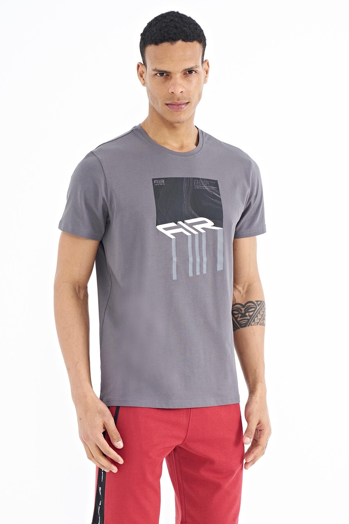 Louis Grey Standard Fit Men's T-Shirt - 88202