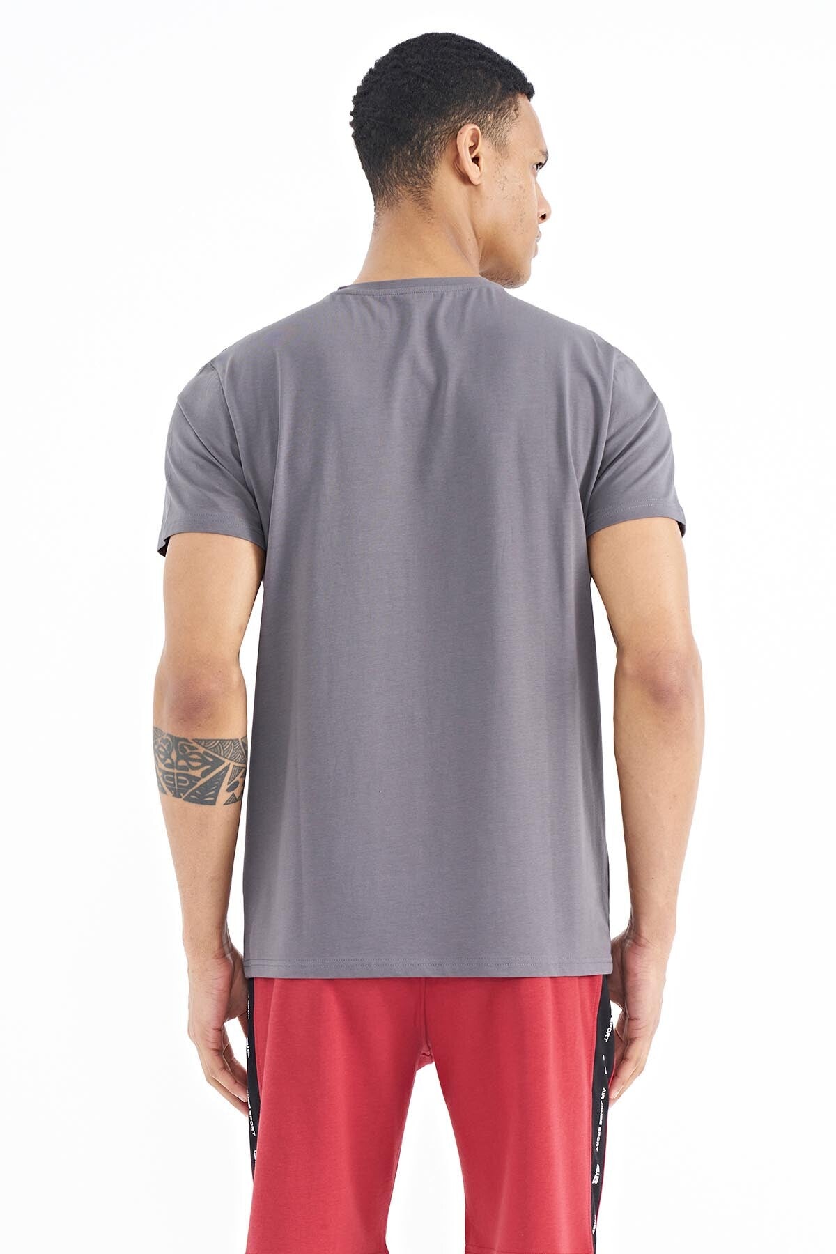 Louis Grey Standard Fit Men's T-Shirt - 88202