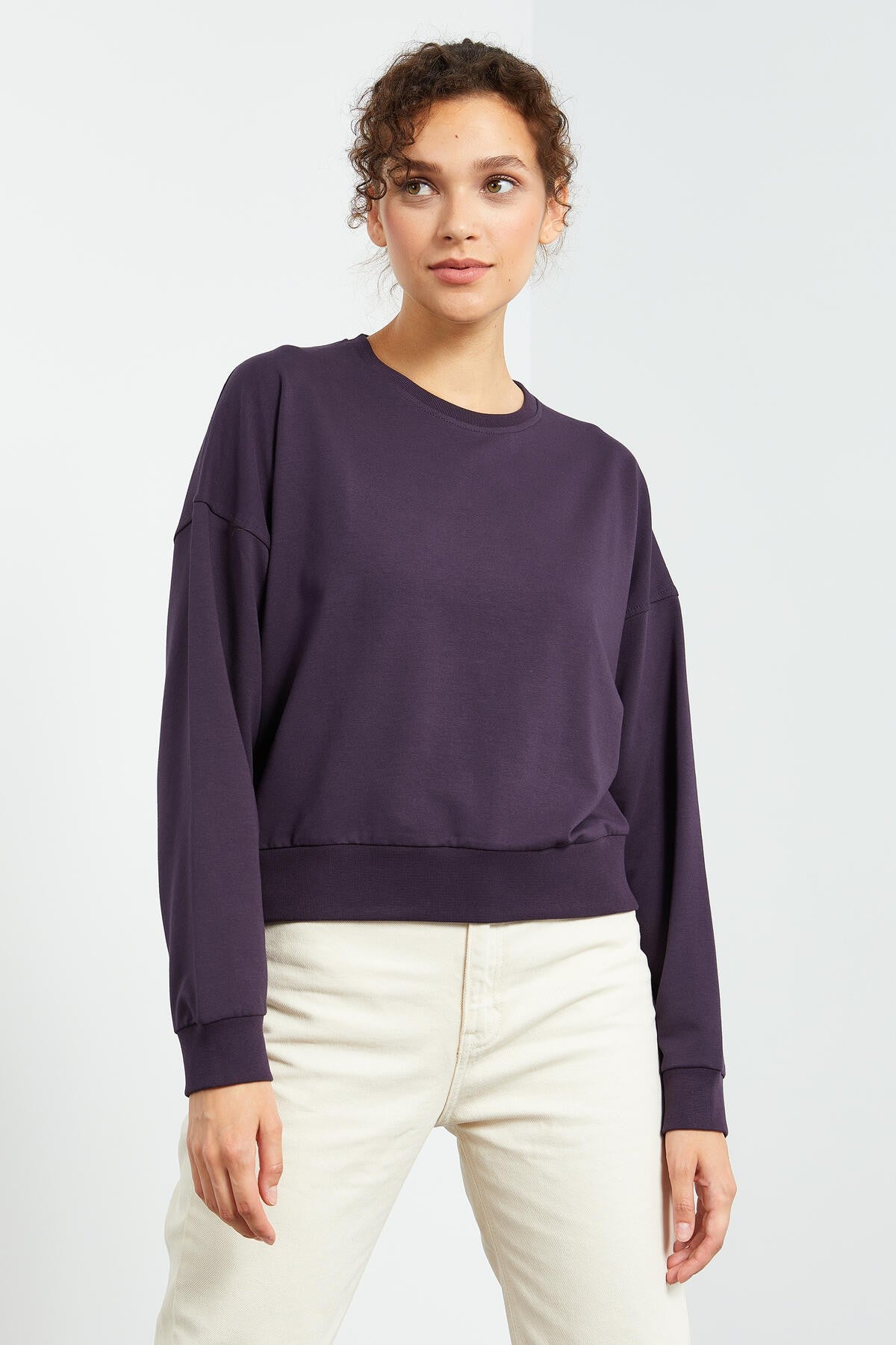 Basic Comfort Fit Round Neck Women's Sweatshirt - 97114