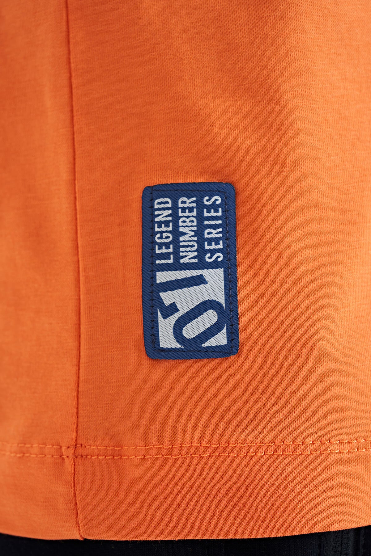 Orange Print Detailed Standard Mold O Collar Boys' T-Shirt - 11133