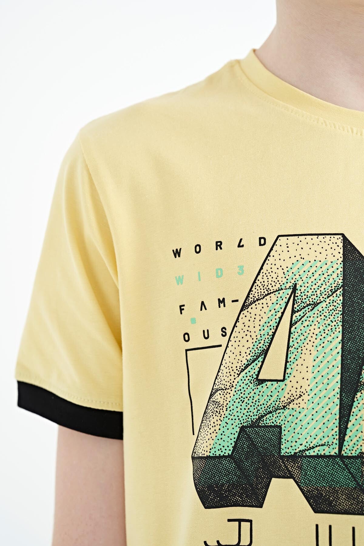 Yellow Print Standard Fit O Neck Boys' T-Shirt - 11098