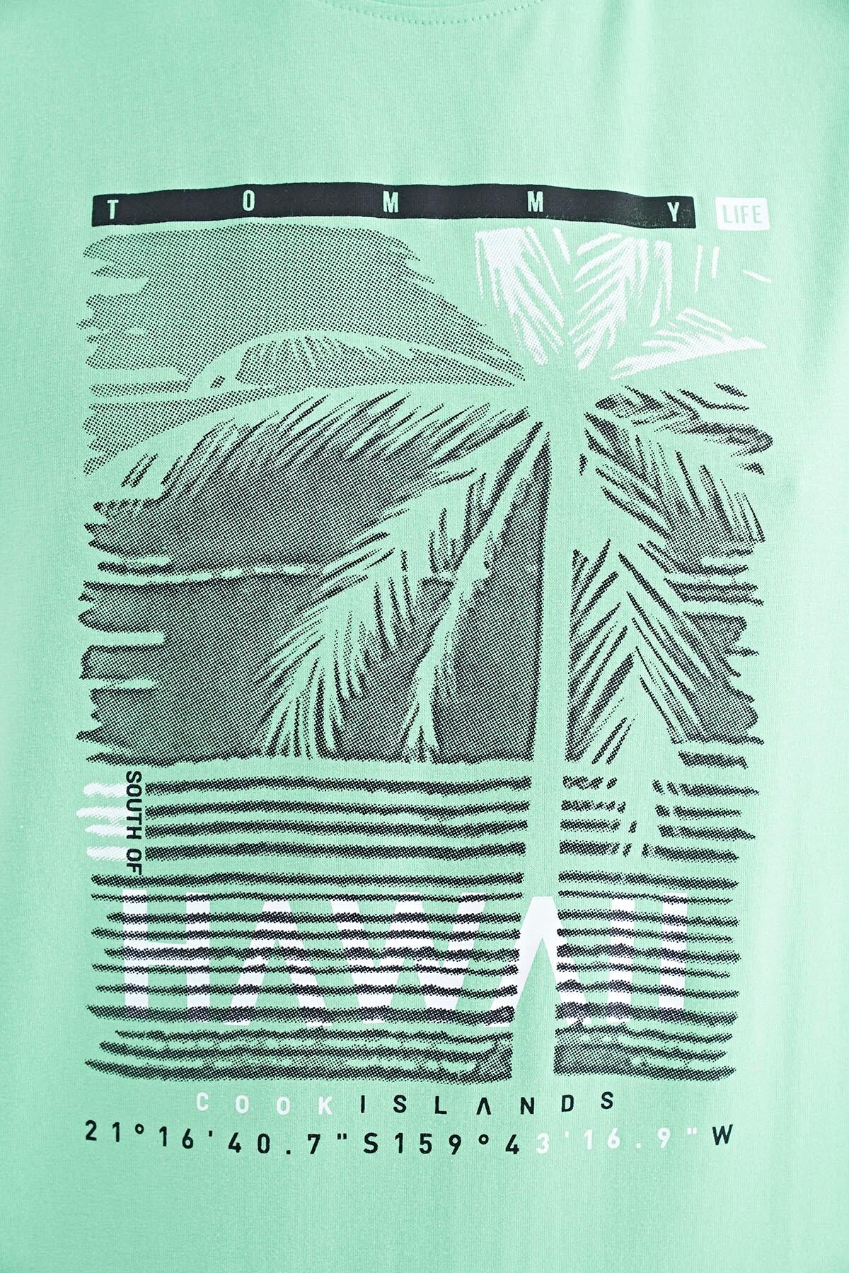 Forest Green Slogan Printed O Collar Standard Fit Men's T-shirt - 88190