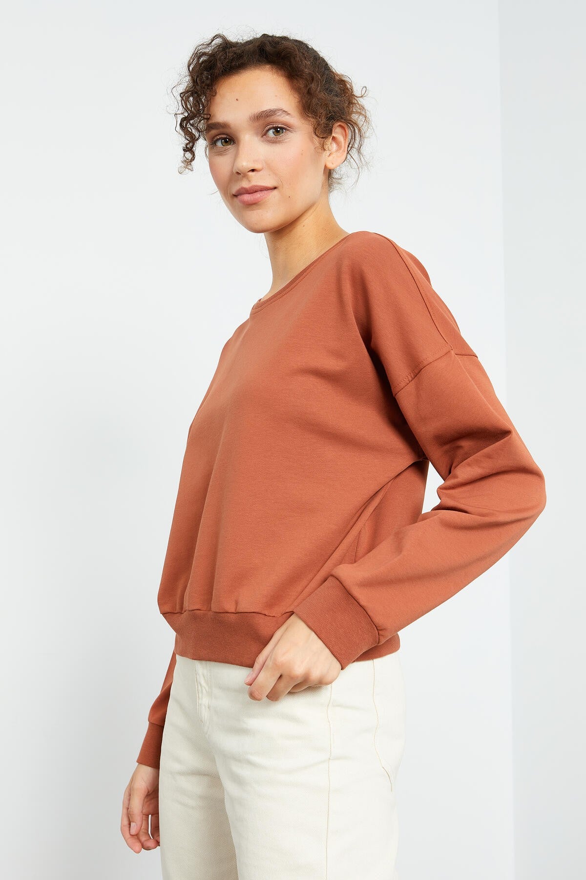 Cinnamon Basic Comfort Fit O Neck Women's Sweatshirt - 97114