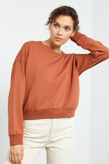 Cinnamon Basic Comfort Fit O Neck Women's Sweatshirt - 97114