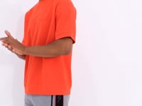 Gray Melange Striped Standard Fit Men's Shorts - 81148