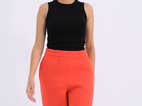 Fiesta High Waist Brushed 3-Thread Cotton Basic Women's Tracksuit Bottom - 94624