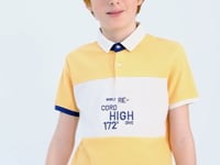 Melon Color Gradient Embroidered Detailed Standard Cut Polo Collar Boys T-Shirt - 11110