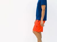 Arlo Fiesta Striped Men's Shorts - 81248