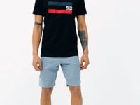 Alec Grey Melange Standard Fit Men's Shorts - 81243