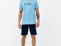 Alec Indigo Standard Fit Men's Shorts - 81243